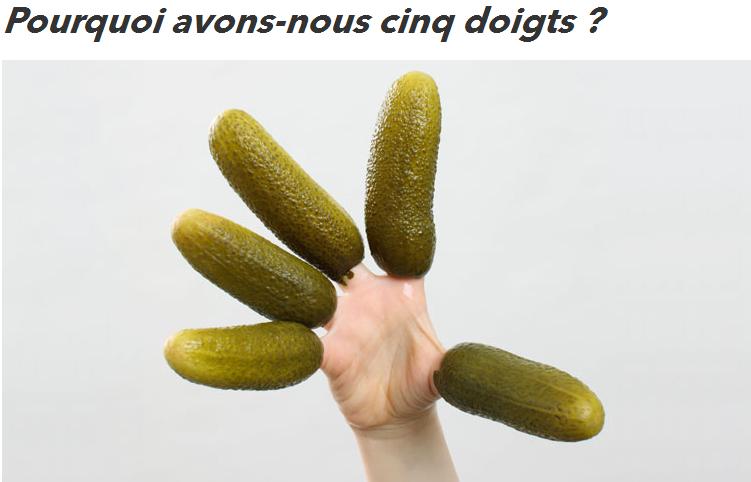 Cinq doigts