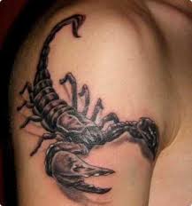 Scorpion